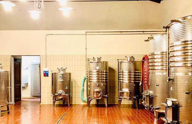 Fattoria Lucciano - Foto 35