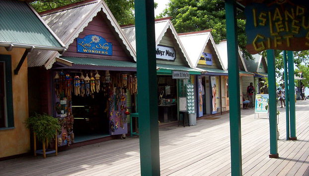 Entdecken Sie Ocho Rios, Dunn's River Falls und 9 Miles – Ganztägige Tour - Foto 2