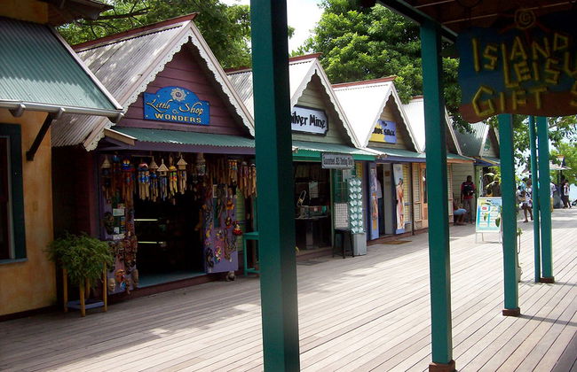 Entdecken Sie Ocho Rios, Dunn's River Falls und 9 Miles – Ganztägige Tour - Foto 2