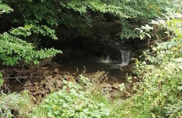 W dolinie Huty - Foto 25