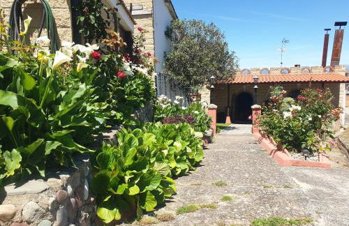 CASA TURÍSTICA Villa Carmen, CON AMPLIO JARDIN QUE INCLUYE BARBACOA, 2 PORCHES, PARKING PRIVADO Y PISCINA - Foto 45