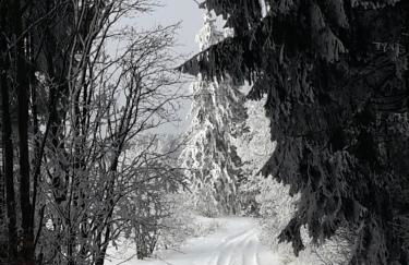 Kuschelige Ferienwohnung nahe Kronach - Foto 17