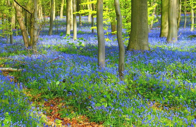 Spacious Home With Games - Foto 29