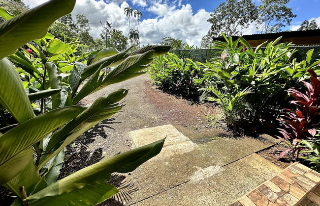 Almendros Eco-Villas - Foto 74