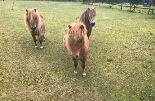 Bay View Cottage - Foto 31