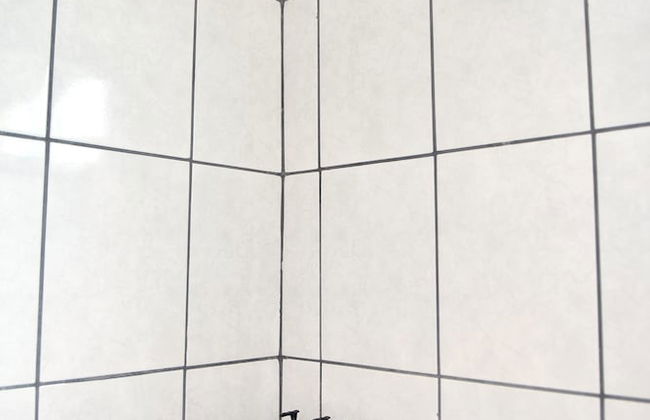 Papaya Dreams - Foto 36