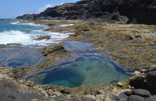 El retiro azul - Foto 35