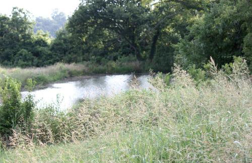 Peaceful Cottage on Farm in Idyllic Countryside near Fort Worth, Texas - Photo 9