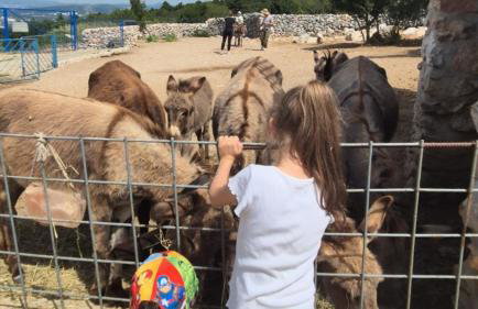 Villa Suzi - Family Farm Stay with Donkeys, Pool and Sea View near Rijeka - Photo 10