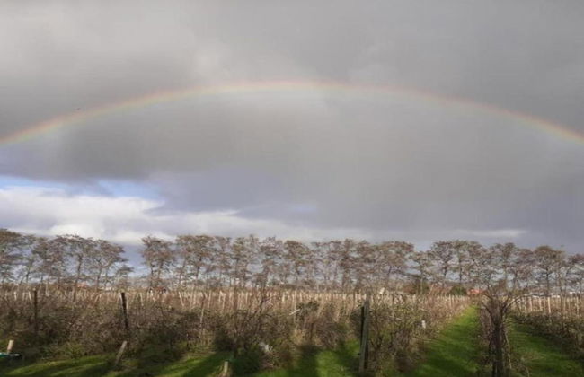Bungalow by Water Near Rotterdam and Zeeland - Foto 36
