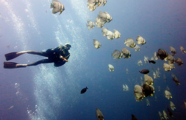 Luxury Sea and Sunset View 4BR 4BA Pool Villa - Foto 38