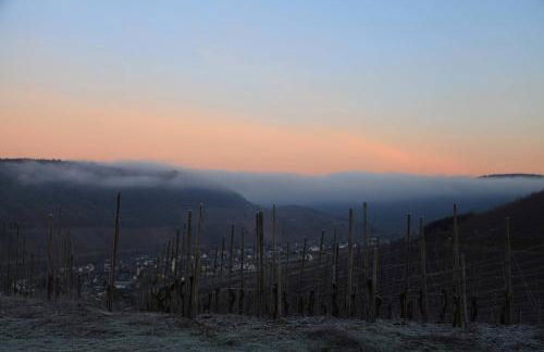 Appartement Familie Ernst - Foto 43