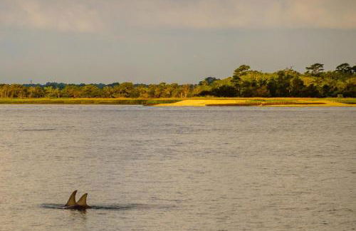 1155 Summer Wind Ln - Photo 54