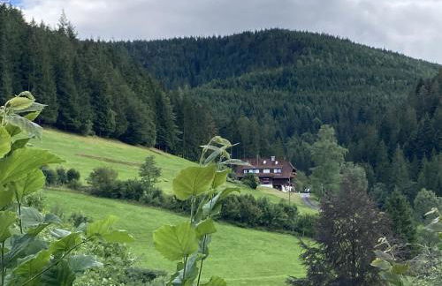 Appart Herzglück - Photo 30