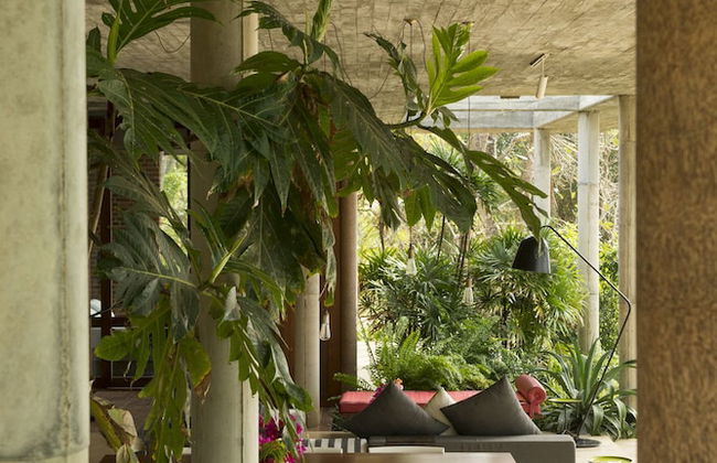 Walatta House - Photo 50