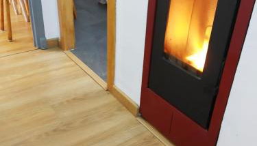 XOXO - Encina - Foto 2