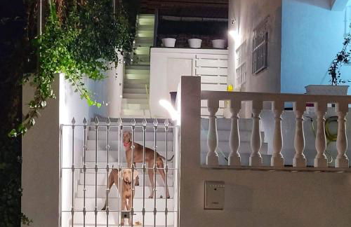 Adriana's Hill - Foto 54