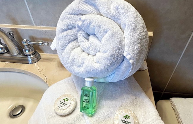 Suites Jardin Imperial - Foto 8