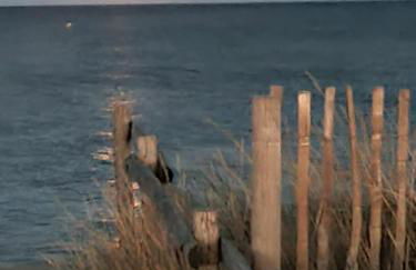 Villa atypique bord de plage méditerranée label architecture contemporaine remarquable - Foto 27