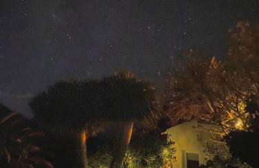 Sweet Home Masca - Foto 14