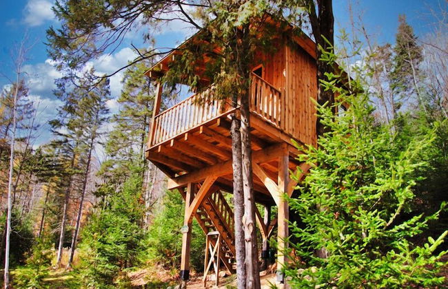 Les Chalets du Trappeur - Photo 30