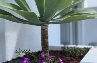Urban Spaces Ibiza - Foto 14