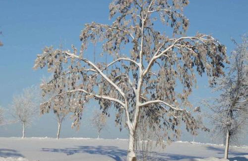 Komfort & Natur in Dankerodeim Holzhaus Andi - Foto 33