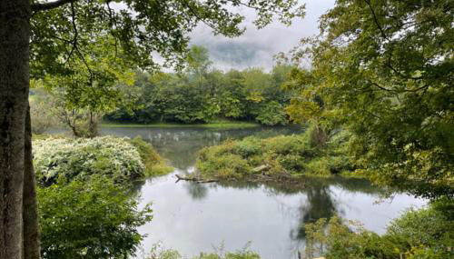 Trout Town Inn - Foto 5