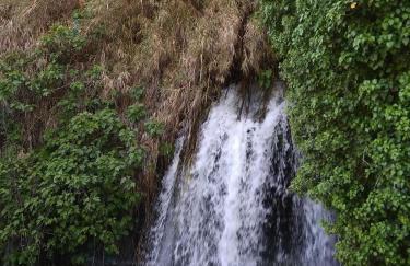 LA CASA AZUL de Anna - Foto 13