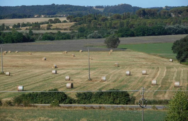 360 Degree View of the Tuscan - Foto 35
