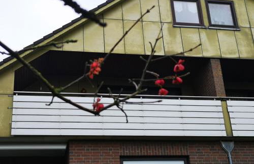 Grüne Düne Meerblick Friedrichskoog Spitze - Foto 23