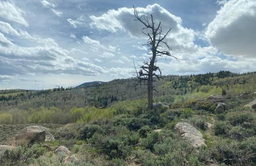 Red-tail Roundhouse at 22 West Cabins and Recreation - Foto 51