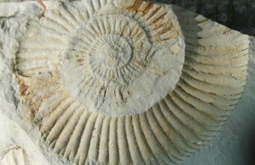 Living in Nature - Foto 21