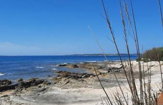 Apartment Olive Istra - Foto 10