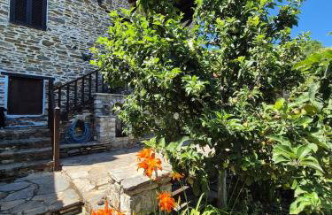 Αρχοντικό Πανόραμα - Foto 49