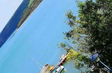 Quirky Cottage with Private Garden Nr New Quay Cardigan Bay - Photo 28