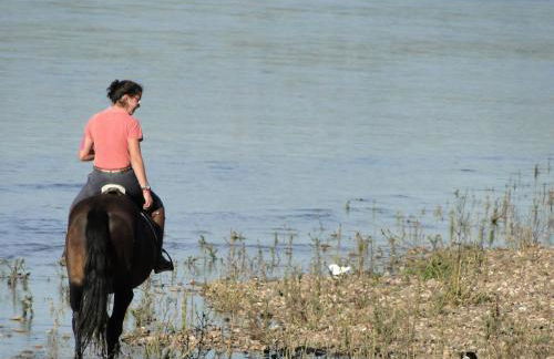 Quinta de Coalhos TH - Foto 17