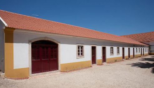 Quinta dos Álamos Agroturismo - Foto 4