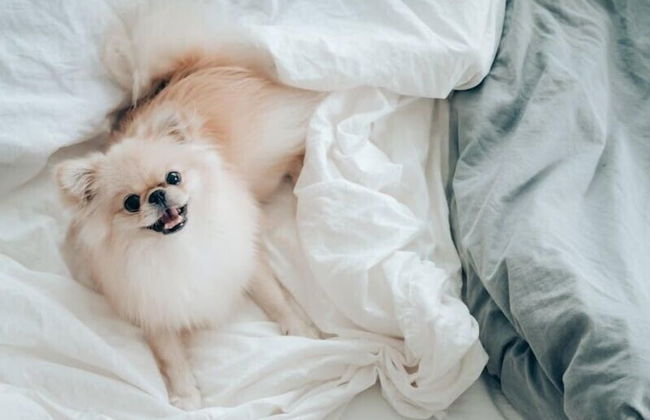 Oakwood Premier Coex Center - Foto 21