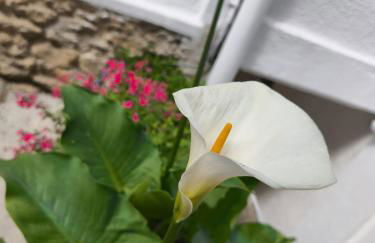 Romantic Room proche de Paris - Foto 21