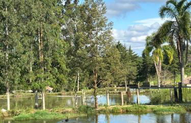 Chácara Canto do Galo - Foto 4