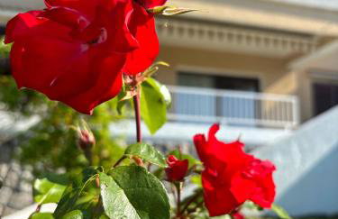 Va Kastav - Photo 54