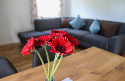 Rübenkämpers Ferienwohnungen - Photo 26