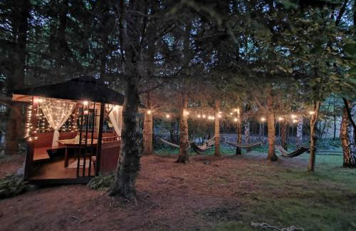 Nad Potokiem z Alpakami - Foto 30