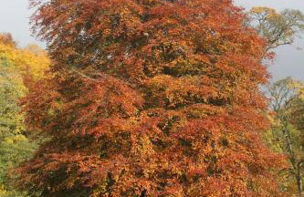 The Granary - Foto 19