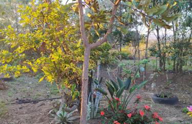 Recanto da Tia Lena - Foto 24