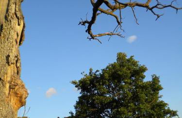Il Poggio Delle Ginestre - Foto 66