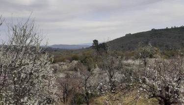 Casa Belen I y II - Foto 4