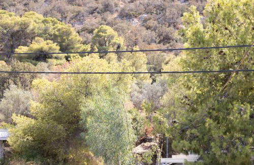 The Pines apartment - Foto 49