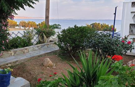 Galazio Kyma - Foto 6